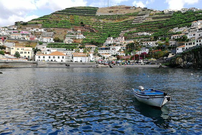 Private Cabo Girão Tour by Tukxi - Guides in the driver’s seat: what to watch for with Davida, Sebastián, and Gonzalez