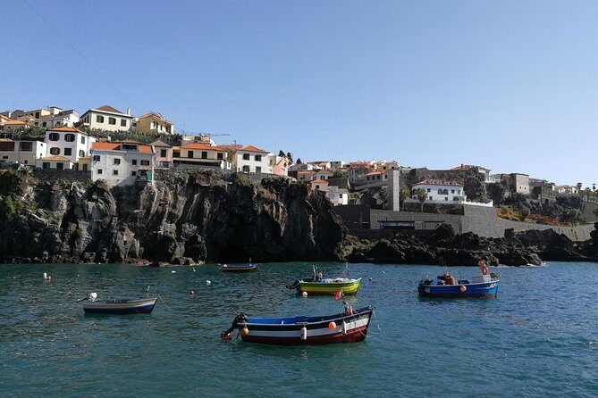 Private Câmara de Lobos Fishing Village Tour - Pickup and timing in Funchal: make it fit your day