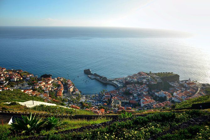 Private Câmara de Lobos Fishing Village Tour - Who should book this Câmara de Lobos fishing tour