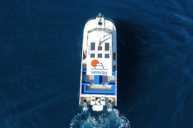 Private Cruise to Calheta and Caniçal Coasts - Price and value at about $89.60 per person