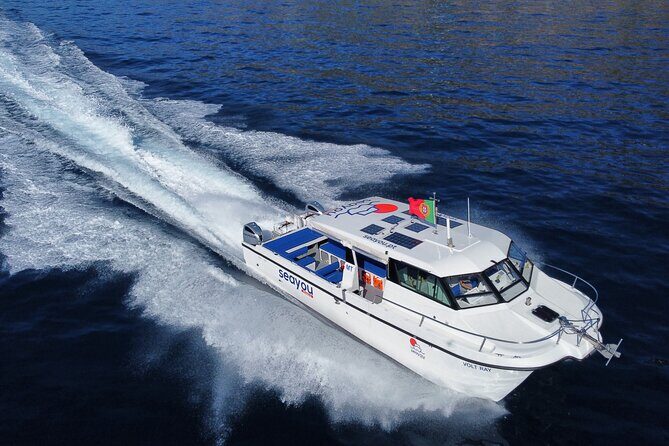 Private Cruise to Calheta and Caniçal Coasts - Practicalities: meeting point, mobile ticket, and the no-transfer deal