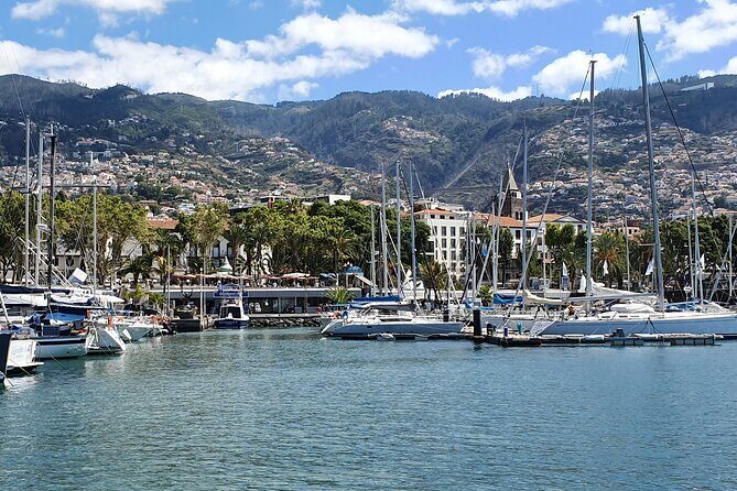 Private Cruise with Wine Tasting in Funchal Bay - What “private” changes on the water