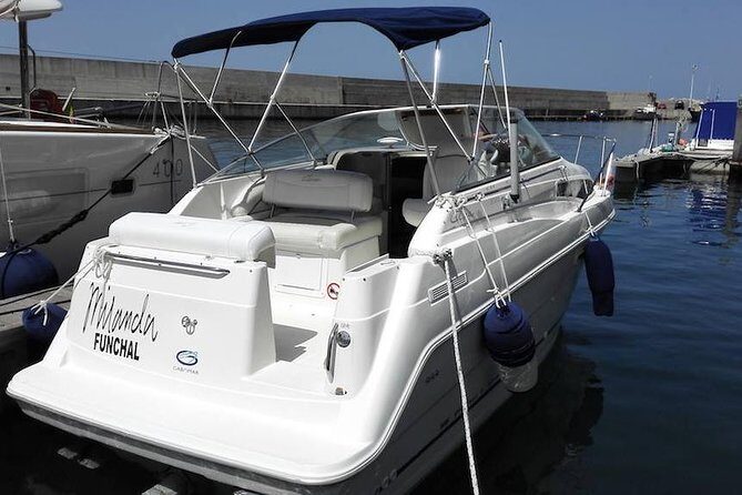 Private Dolphin and Whale Watching Tour in Madeira - Meeting at On Tales in Porto de Recreio da Calheta