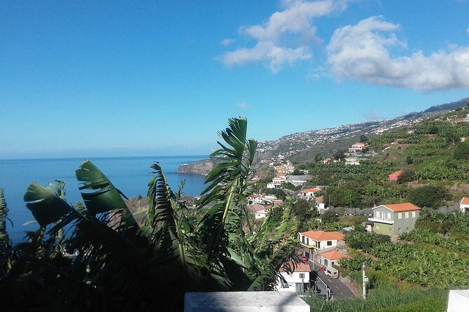 Private Full-Day - Comfort 4x4 Tour - NorthWest - Morning in Funchal: the first viewpoints and the off-road mindset
