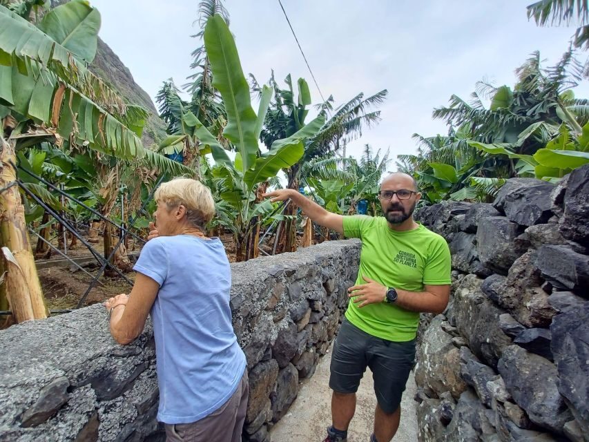 Private - Gastro Hike with Levada Walk and Local Food - Who This Tour Suits Best (And Who Might Prefer Something Else)