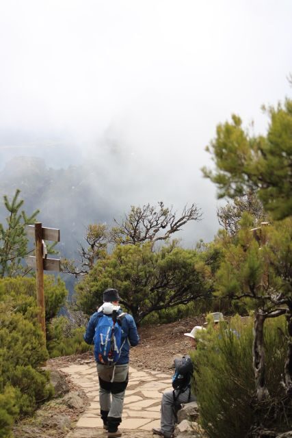Private - Gastro Hike with Levada Walk and Local Food - Pickup From Madeira and How the Day Gets Rolling