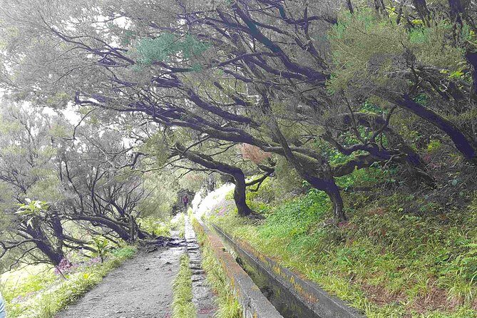 Private Guided Walk Levada 25 Fontes - 25 Fontes and Cascada da Risco: what you’re really doing for 5 hours