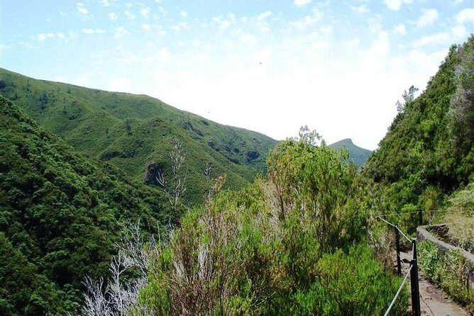Private Guided Walk Levada 25 Fontes - The guided levada advantage: you won’t be guessing on the trail