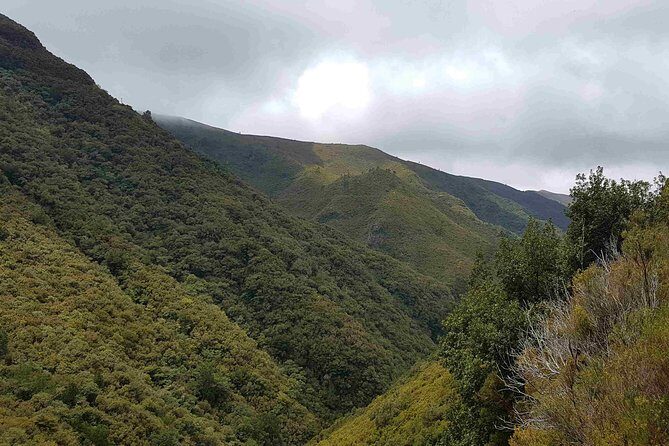 Private Guided Walk Levada 25 Fontes - Price and value: what $107.84 covers, and what you still need to budget