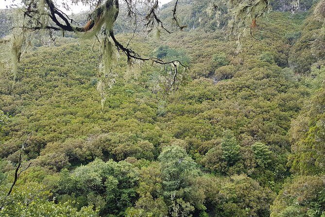 Private Guided Walk Levada 25 Fontes - Weather, clothing, and comfort tips that actually matter
