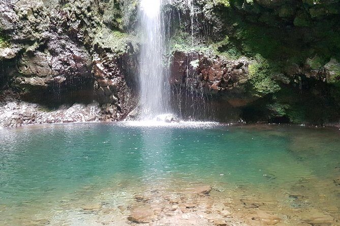 Private Guided Walk Levada Caldeirao Verde - From Queimadas to the Laurisilva: where the fairy-tale feeling starts
