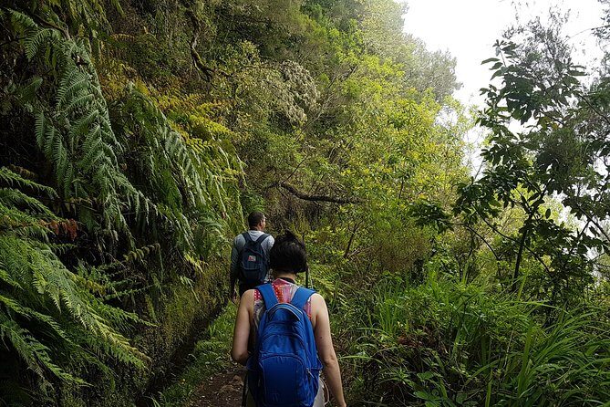 Private Guided Walk Levada Caldeirao Verde - Clothing and all-weather conditions: plan for the trail, not the forecast