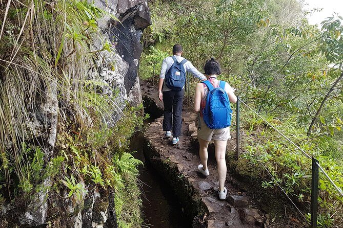 Private Guided Walk Levada Caldeirao Verde - Price and value: is $108.02 worth it?