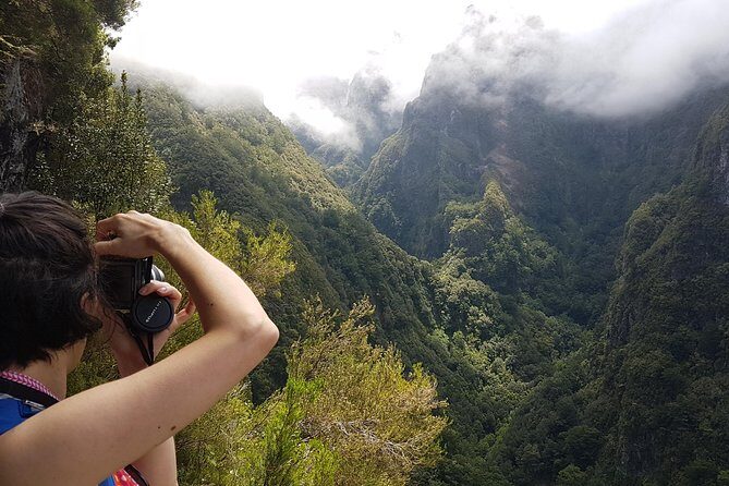 Private Guided Walk Levada Caldeirao Verde - Birding energy and the São Jorge mountain views you shouldn’t miss