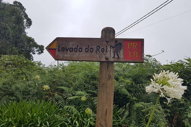 Private Guided Walk Levada do Rei - Walking the historic irrigation channel: views, vegetation, and pace