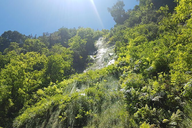 Private Guided Walk Levada do Rei - What 5 hours on a 10 km levada means for your day