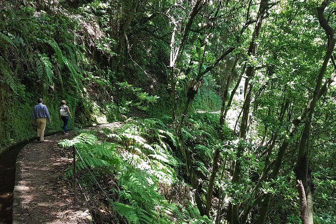 Private Guided Walk Levada do Rei - Should you book this private Levada do Rei walk?