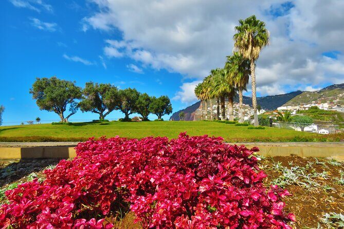 Private Half-Day Morning 4x4 Tour from Funchal - Stop 1: Fajã dos Padres and the sea-at-your-feet viewpoint