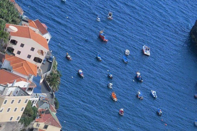 Private Half-Day Morning 4x4 Tour from Funchal - Camara de Lobos: the fishing-town break you’ll actually enjoy