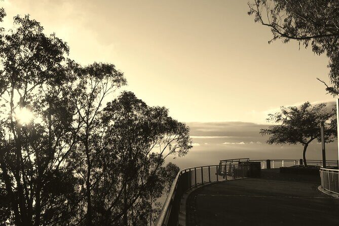Private Half-Day Morning 4x4 Tour from Funchal - How the guides change the experience (Bruno, Lino, Dinarte, and more)