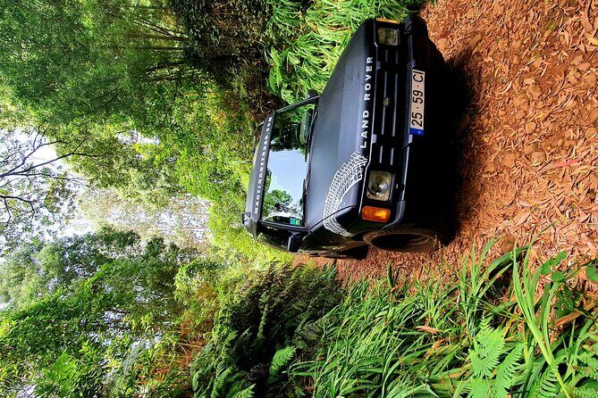 Private Half Day Off Road Tour in Madeira - Port pickup in Funchal: fewer hassles, more time outside