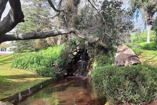 Private Halfday Flower Palheiro Gardens Tour - Your flower route: Palheiro Garden plus Hortensia Garden