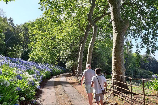 Private Halfday Flower Palheiro Gardens Tour - How the 3-hour private pace feels in real life