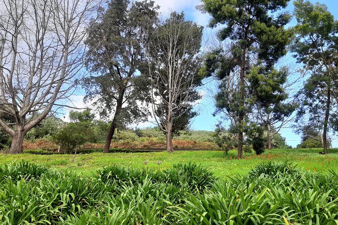Private Halfday Flower Palheiro Gardens Tour - Private pickup across Madeira: fewer headaches, more vacation