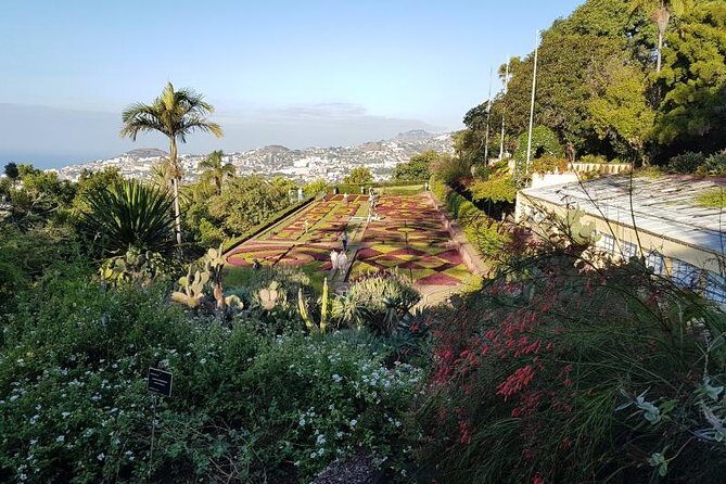Private Halfday Madeira Garden Tour - A Private Halfday Garden Escape Starting From Your Hotel