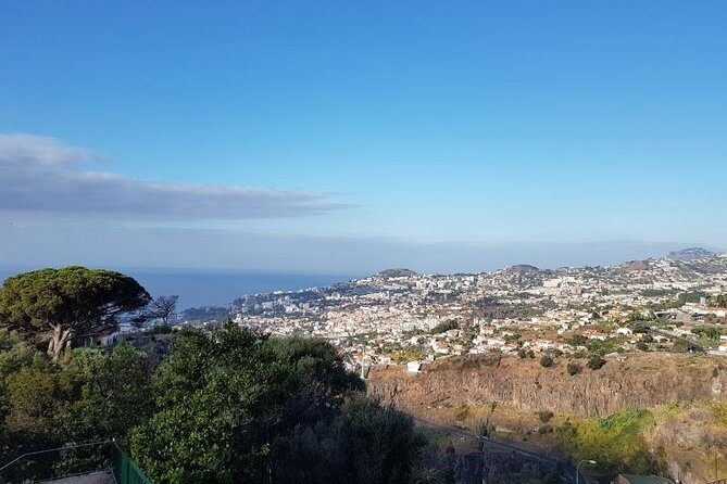 Private Halfday Madeira Garden Tour - What the Four Hours Really Feel Like (Timing and Pacing)