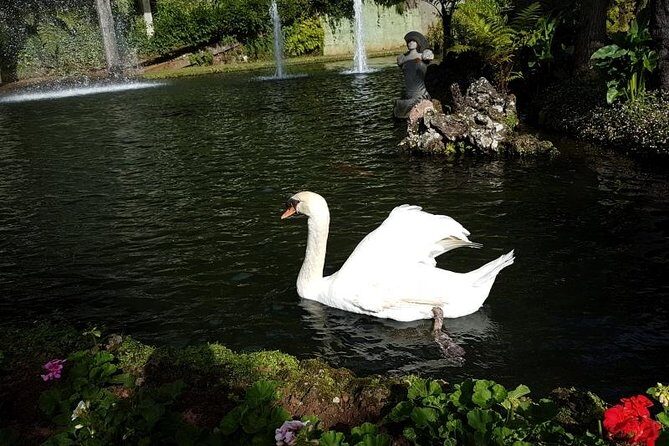Private Halfday Madeira Garden Tour - Price and Value: Does $142.30 Pay Off?