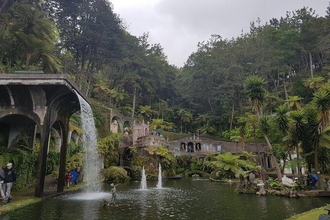 Private Halfday Madeira Garden Tour - Hotel Pickup, Private Vehicle, and a Day That Stays Easy