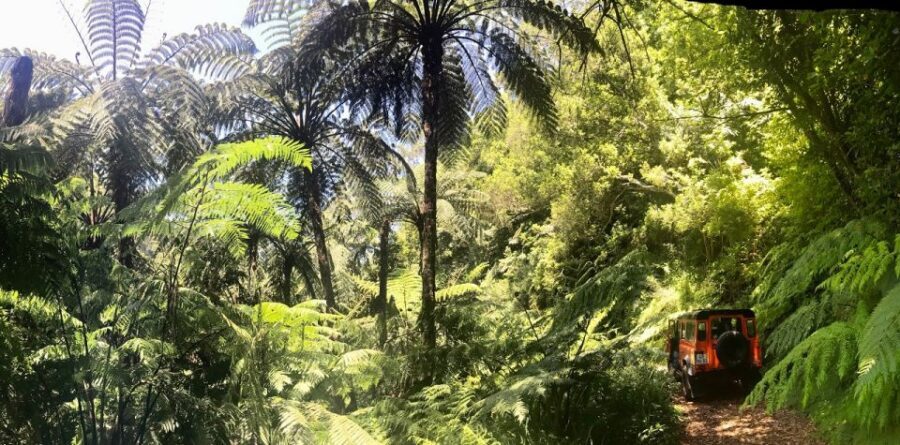Private Jeep Tour Santana to East-Side - Pico do Arieiro to the East Side: why this route works