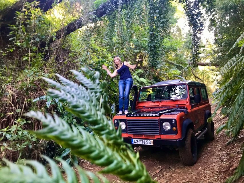 Private Jeep Tour West-Side Natural Pools - Terrace Farming and Mountain Villages: Where the Island Feels Worked