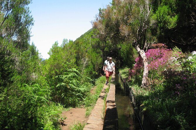Private Madeira tour 8 people - Your Day In The Driver’s Seat: What 150 km Means for 6–7 Hours