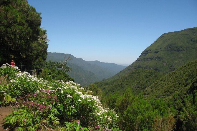 Private Madeira tour 8 people - What’s Included, What’s Not, and Small Comfort Tips