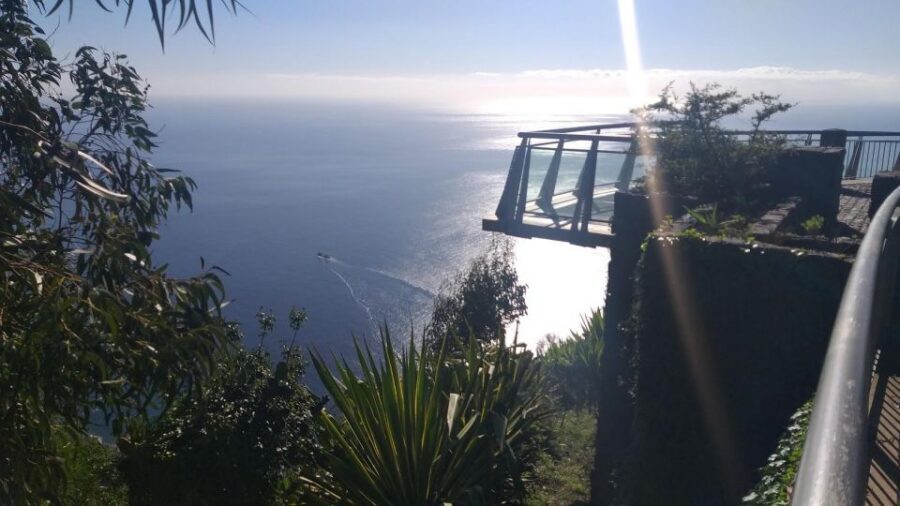 Private Minubus 8 seater - Private 8-Seater Minibus: The Real Value on Madeira’s Roads