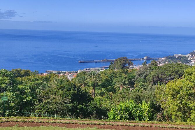 Private Sidecar Tour – Downtown Funchal for 1 or 2 People - Viewpoint of Nazareth: a quick stop with big city-and-ocean views