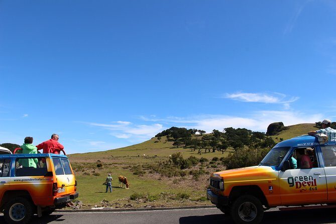 Private Small Group Full Day 4x4 Tour in Northwest Madeira - Porto Moniz Natural Swimming Pools: The One Budget Item You’ll Want