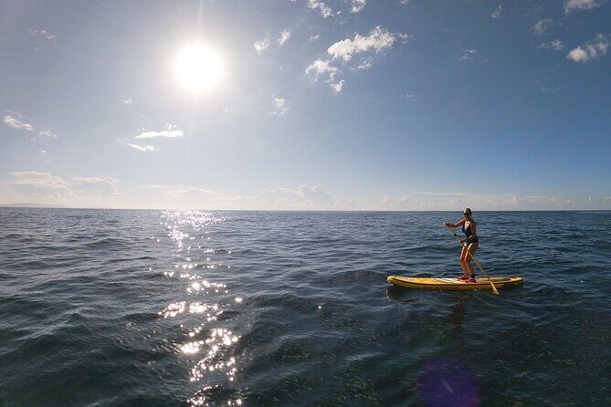 Private Stand Up Paddle Tour in Câmara de Lobos - Snorkeling Included: What You’ll Want to Know