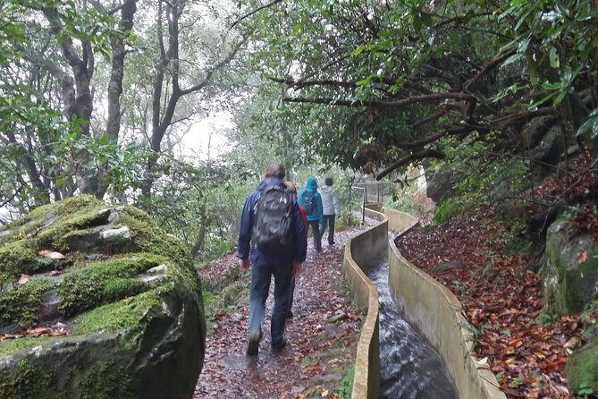 Private Sunrise Guided hike on Pico do Areeiro or other custom - How the Guide Keeps the Hike Gentle (Not Just Pretty)