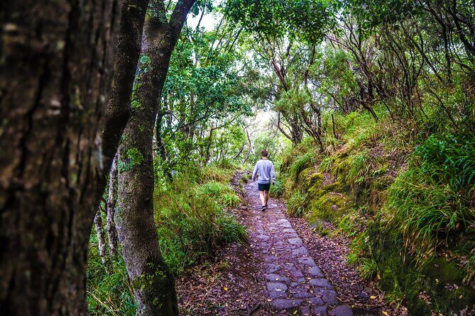 Private Sunrise Pico do Areeiro Half Day with easy levada walk - Balções de Ribeiro Frio: Another Look at the Same Area’s Views