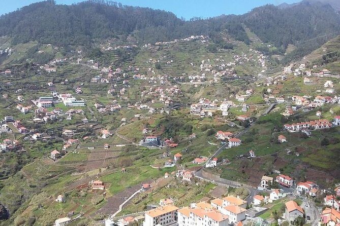 Private Tour Halfday South Madeira - Why South Madeira feels different (and why this route works)