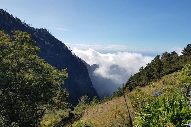 Private Tour Nun's Valley Halfday - Pico dos Barcelos: a quick Funchal panorama with photo-friendly timing