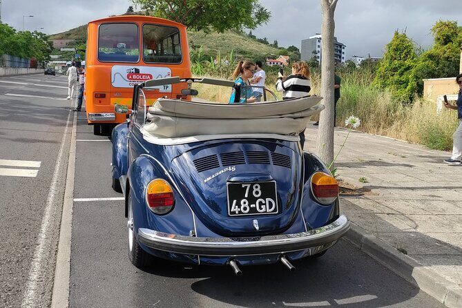 Private Tour: Regional Road Drive with Stunning Views and Poncha Drink Tasting - Serra de Água poncha tasting: local flavor, not a souvenir stop
