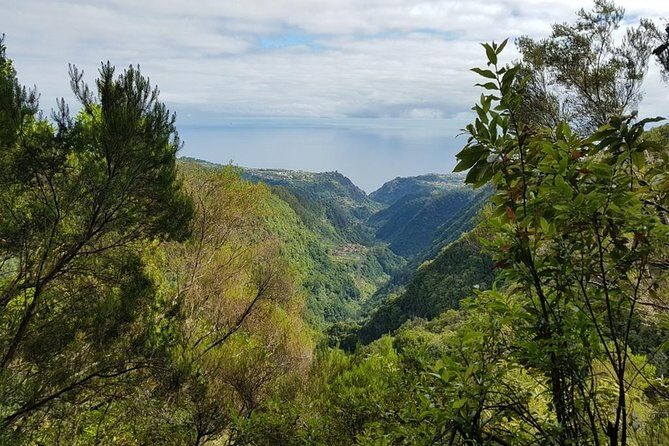 Private Tour The Biosphere Santana - Quinta do Furão Waterfall: One of Madeira’s Most Memorable “Water Meets Sea” Views