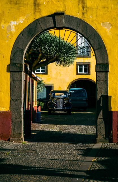 Private Tour:Historical Old Town 1-Hour Tour by Tuk Tuk - São Pedro and the cathedral zone: a short hop with big context