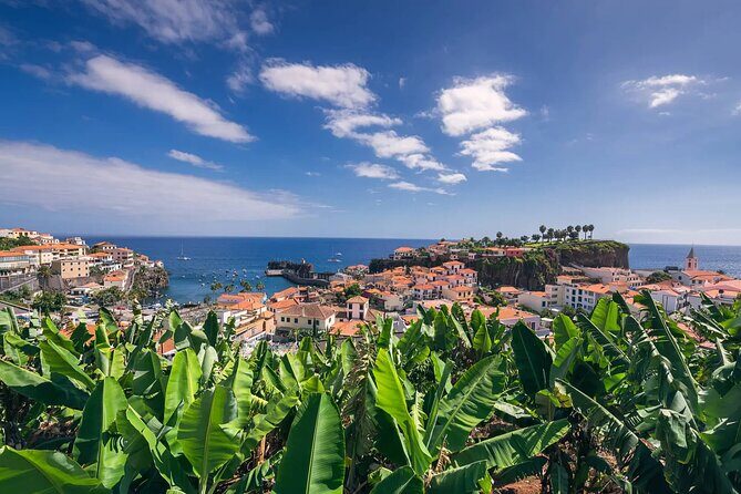 Private Tuk Tuk Tour on Câmara de Lobos, Fishing Village - Doca do Cavacas Natural Pools: free admission and a real taste of the coast