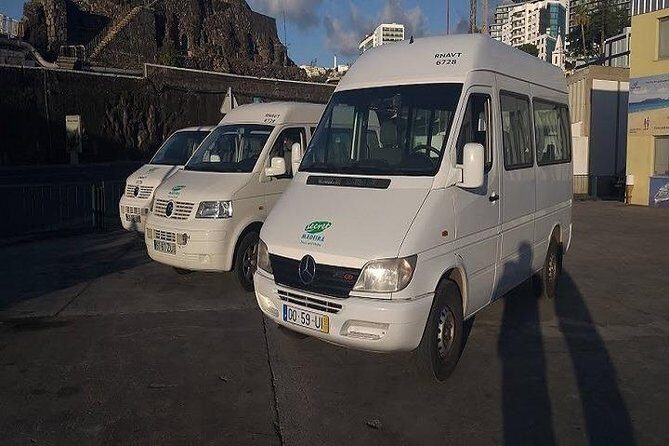 Private VipTours up to 4pax/8pax/19pax - Pickup in Funchal and the cruise-harbor advantage