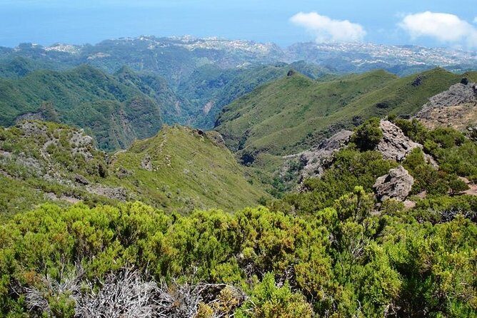 Private Walk Achadas Teixeira - Pico Ruivo Half-day - Why Pico Ruivo is the right half-day target